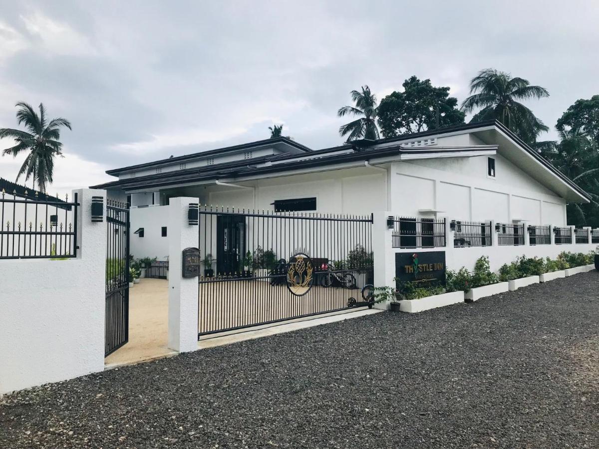Thistle Inn Panglao Bagian luar foto